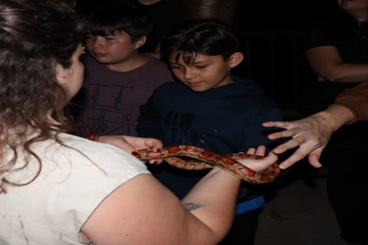 WhatsApp Image 2024 06 05 at 17.10.05